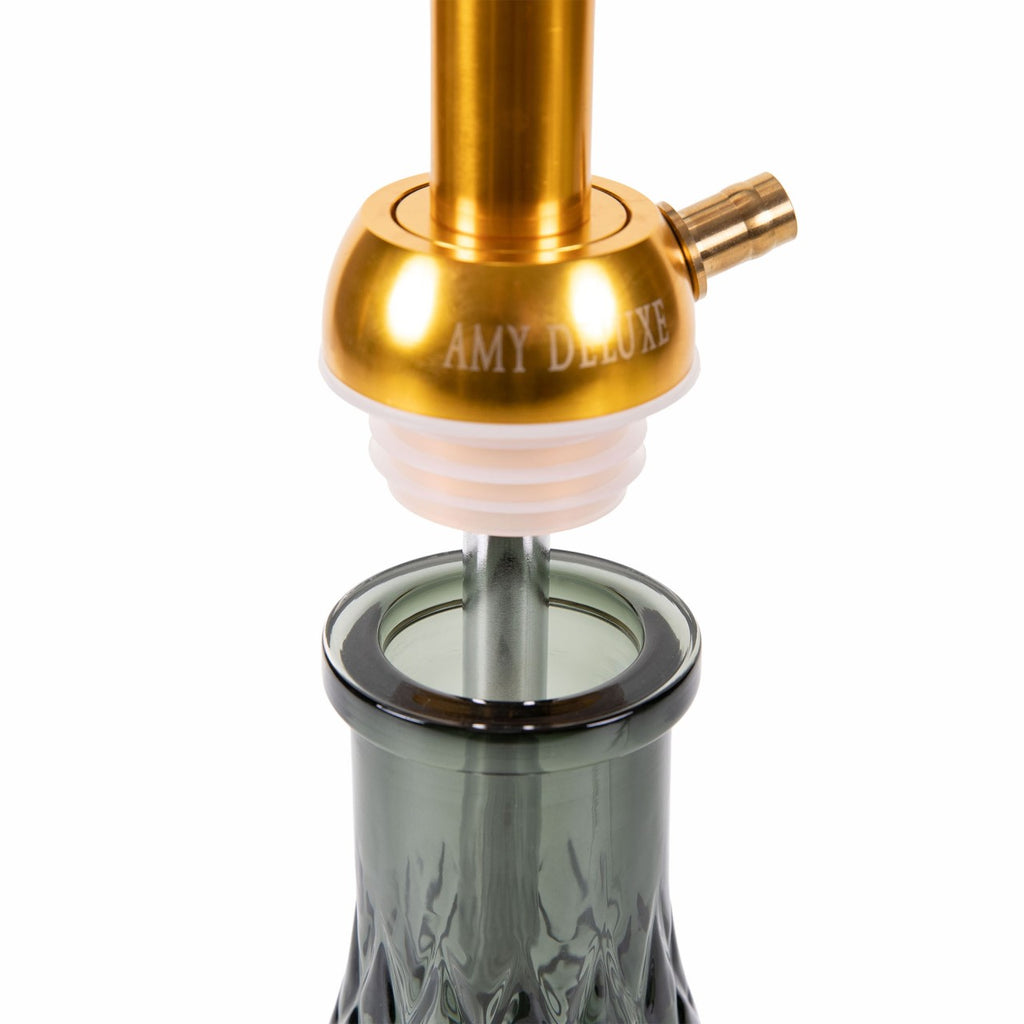 Amy 116.02 Alu Wonder